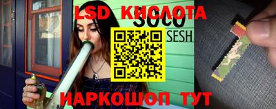крисы Рязань